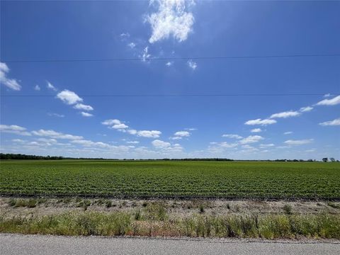 Vacant Land For Sale - Schultz Road<br/> Fort Bend County, Damon, TX 77430