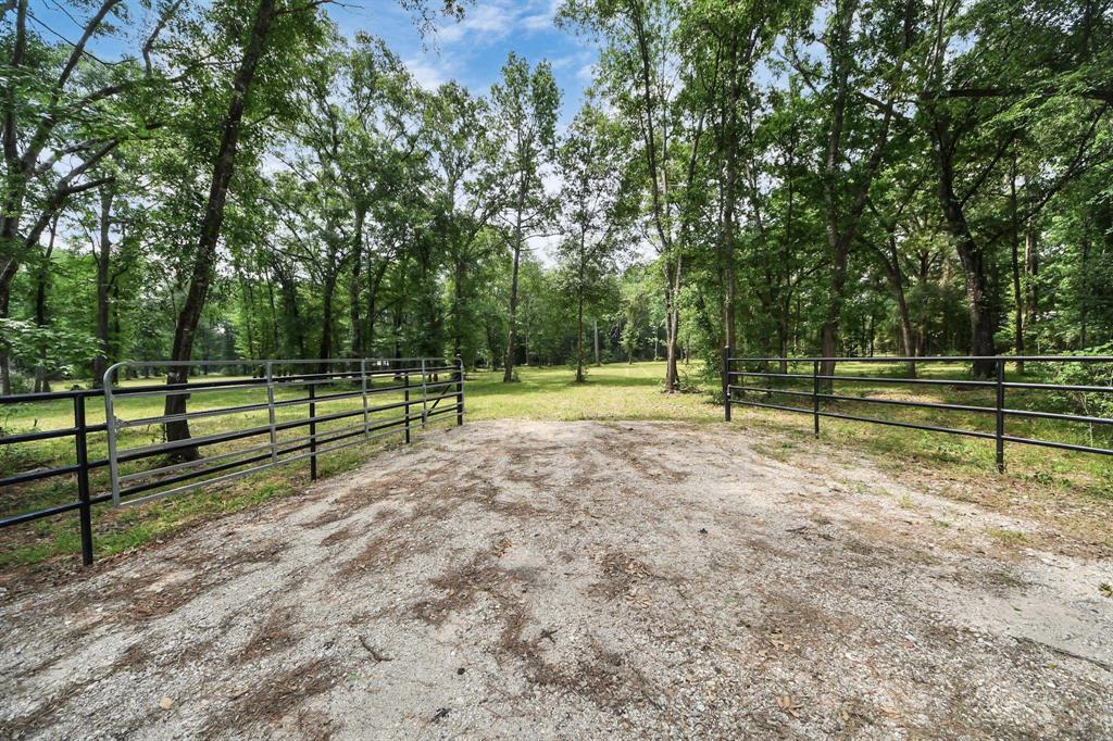 21765 Bailey Grove Rd Rd, Montgomery, Texas image 13