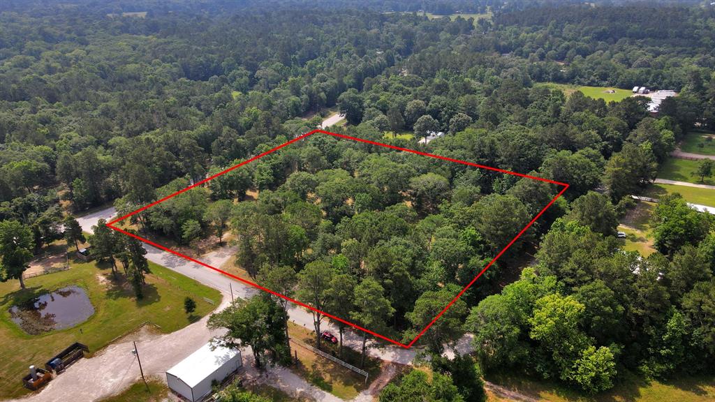 21765 Bailey Grove Rd Rd, Montgomery, Texas image 3