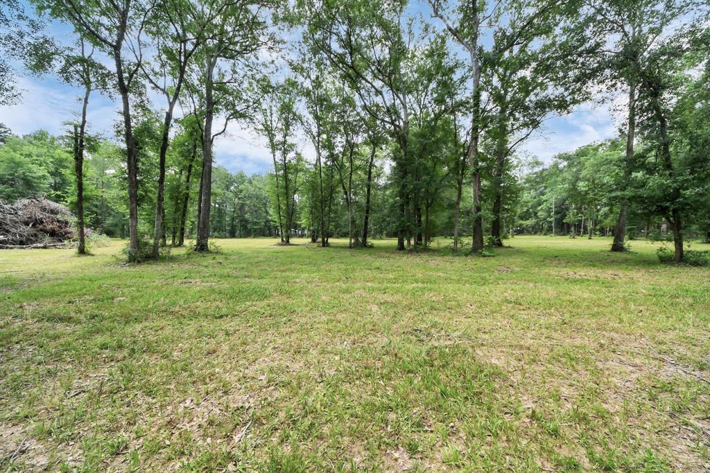 21765 Bailey Grove Rd Rd, Montgomery, Texas image 15