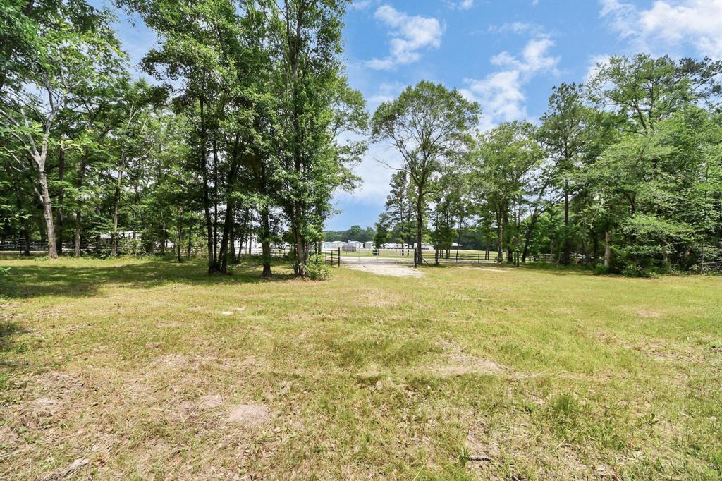 21765 Bailey Grove Rd Rd, Montgomery, Texas image 8