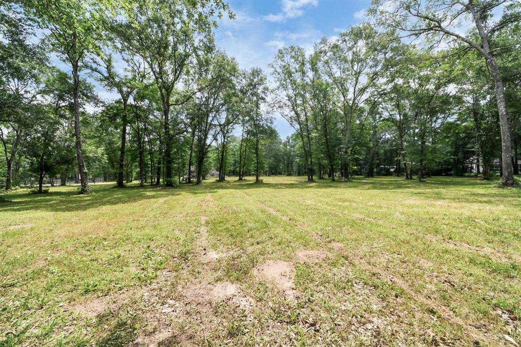 21765 Bailey Grove Rd Rd, Montgomery, Texas image 6