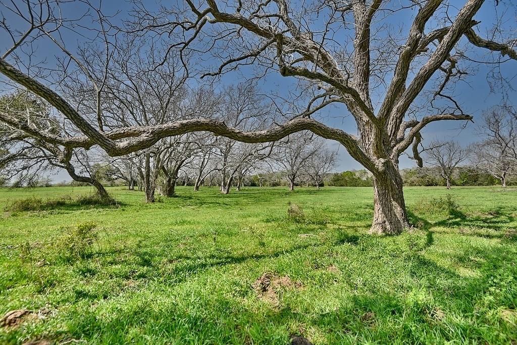 TBD Farm To Market 2144, Weimar, Texas image 10