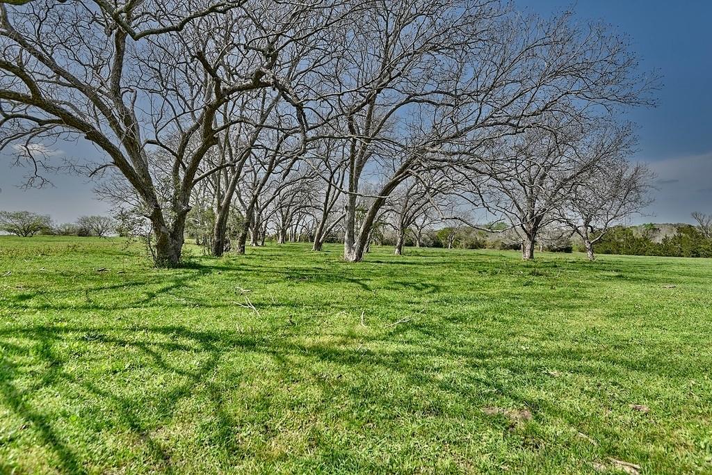 TBD Farm To Market 2144, Weimar, Texas image 1