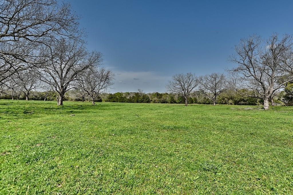 TBD Farm To Market 2144, Weimar, Texas image 5