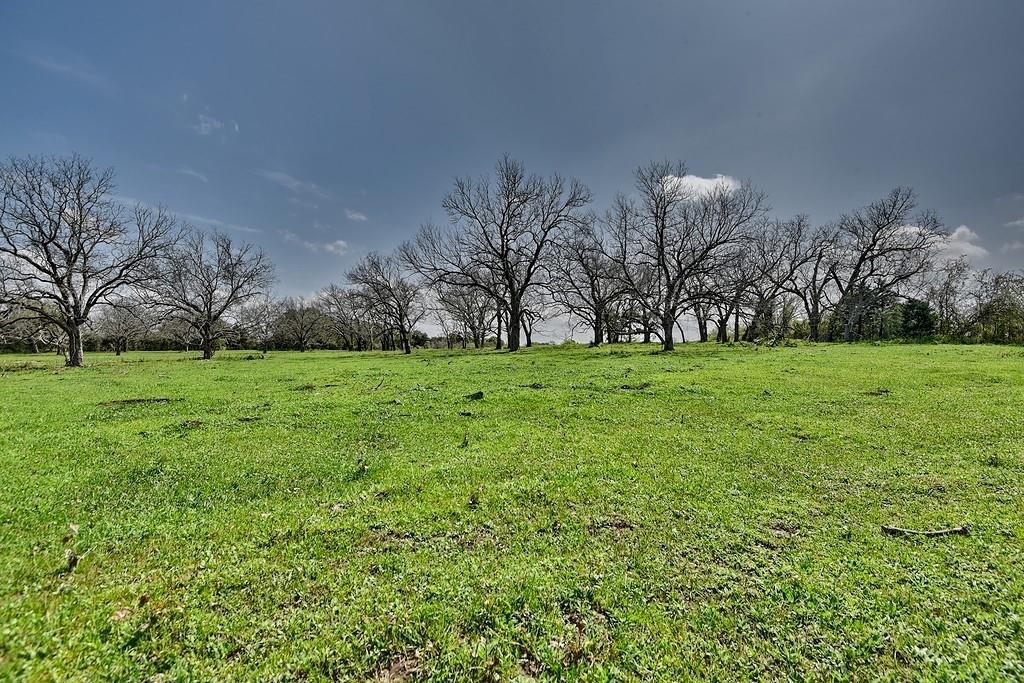 TBD Farm To Market 2144, Weimar, Texas image 8