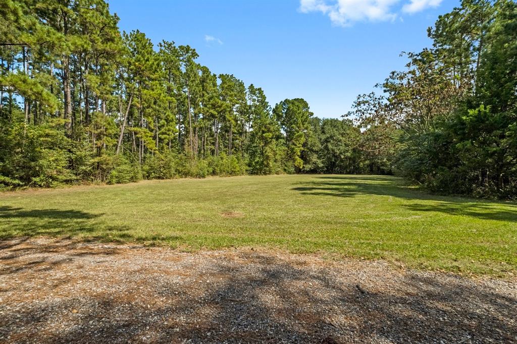 7105 Mount Zion Road, New Waverly, Texas image 7