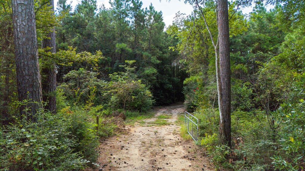 11044 Us Highway 190, Livingston, Texas image 3