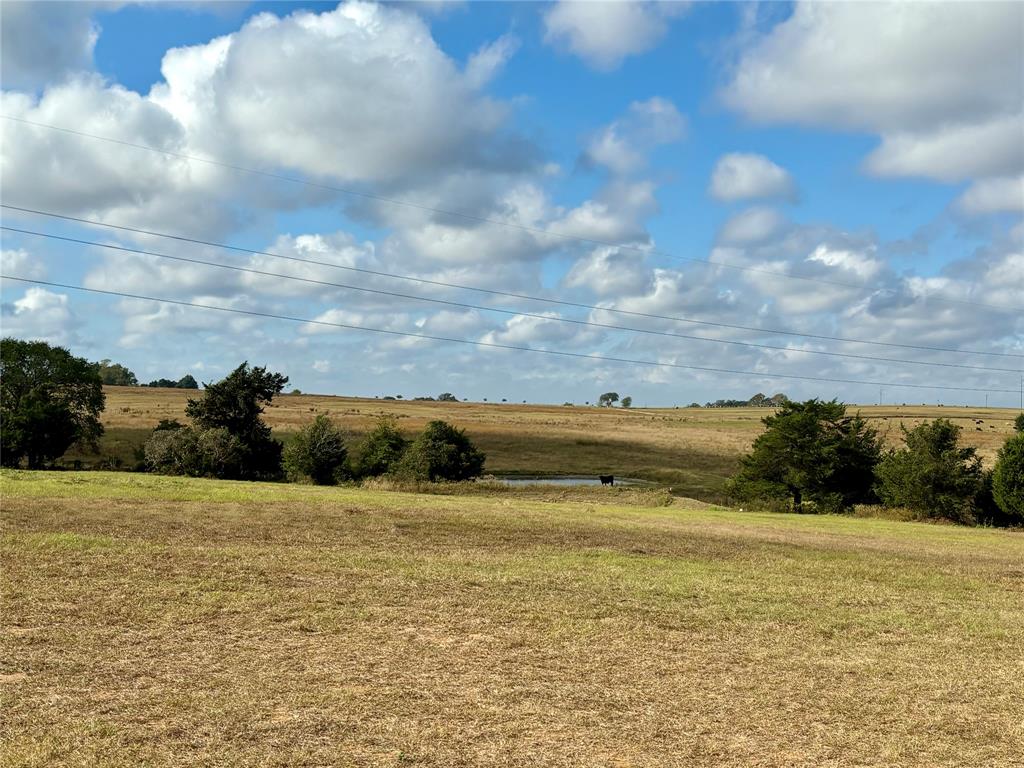 3561 Post Oak Point Road, New Ulm, Texas image 46
