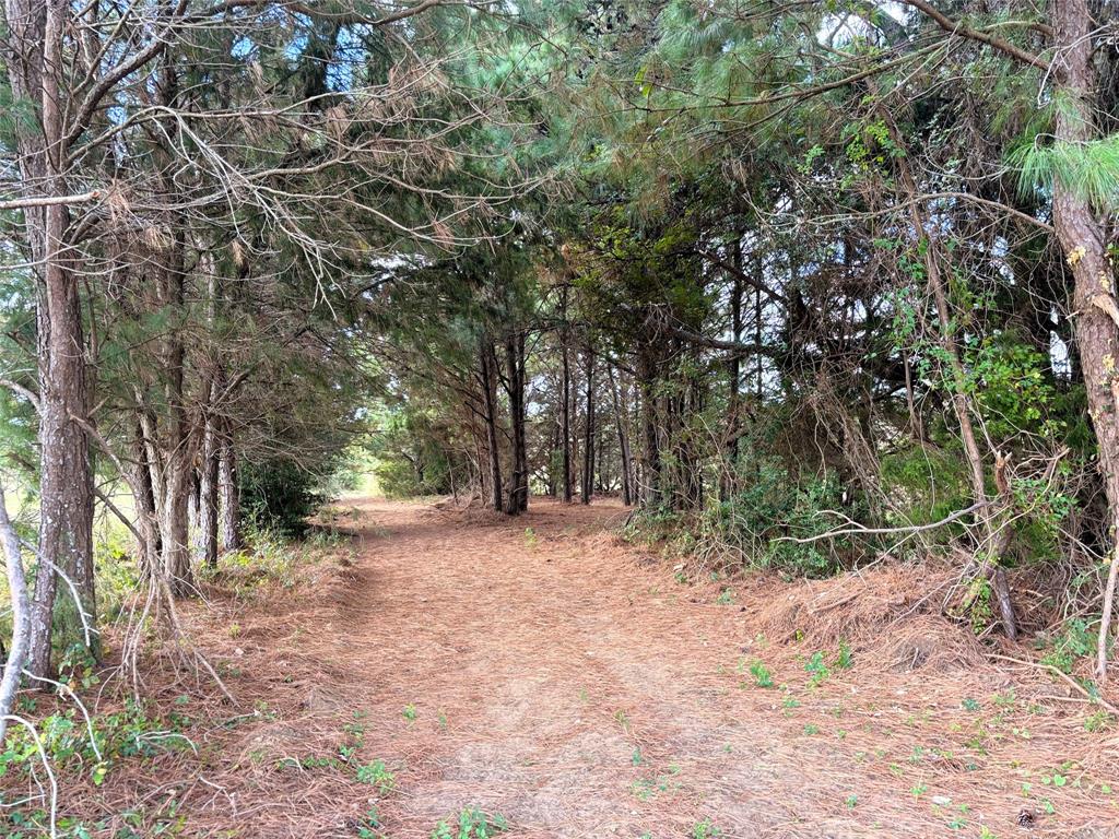 3561 Post Oak Point Road, New Ulm, Texas image 47