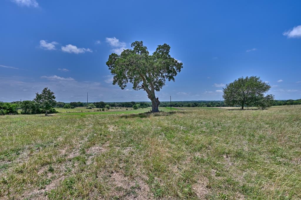 0000 Kovar Road, Fayetteville, Texas image 10