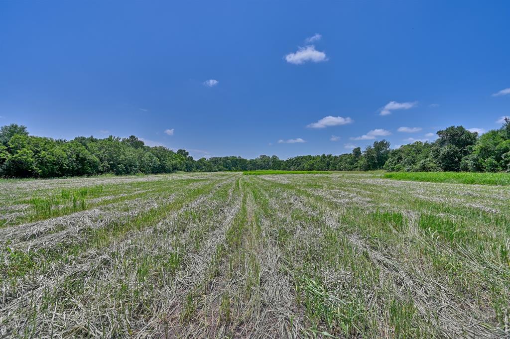 0000 Kovar Road, Fayetteville, Texas image 13