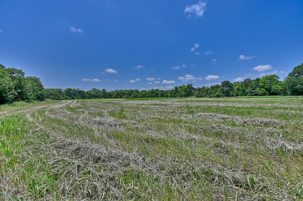 0000 Kovar Road, Fayetteville, Texas image 12