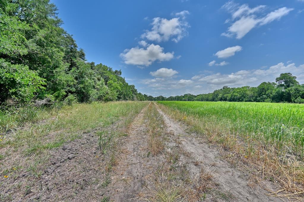 0000 Kovar Road, Fayetteville, Texas image 27