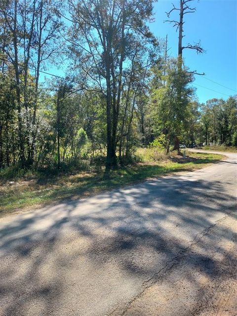 Photo of TBD County Road 349, Cleveland, TX 77327 (MLS # 69796586)