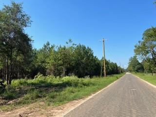 3 Duff Road, Livingston, Texas image 1