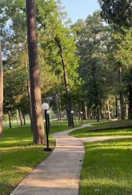 12900 Walden Road #111A, Montgomery, Texas image 8