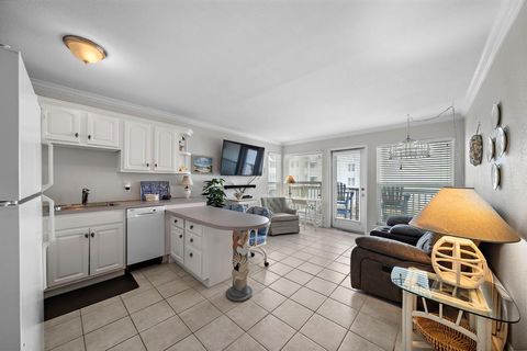 Condominium in Galveston TX 10811 Termini San Luis Pass Road 6.jpg