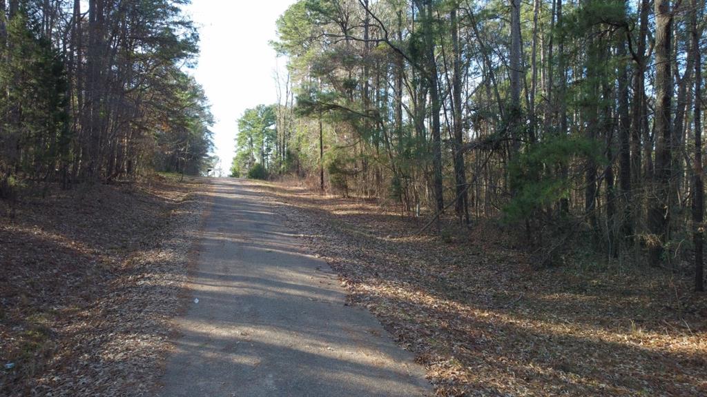 Quiet Oak, Gilmer, Texas image 33