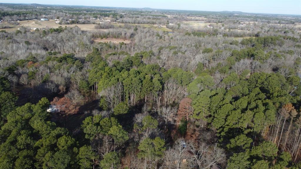 Quiet Oak, Gilmer, Texas image 29