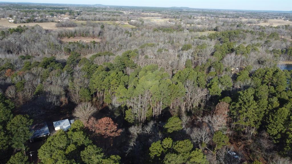 Quiet Oak, Gilmer, Texas image 50