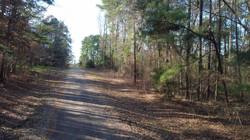 Quiet Oak, Gilmer, Texas image 37