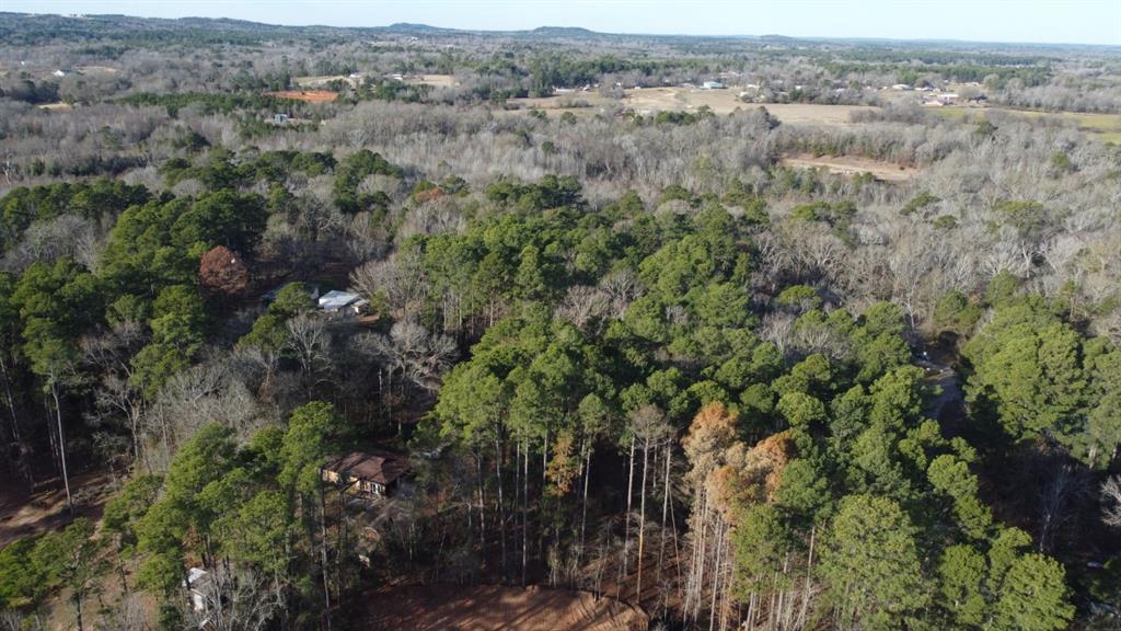 Quiet Oak, Gilmer, Texas image 48