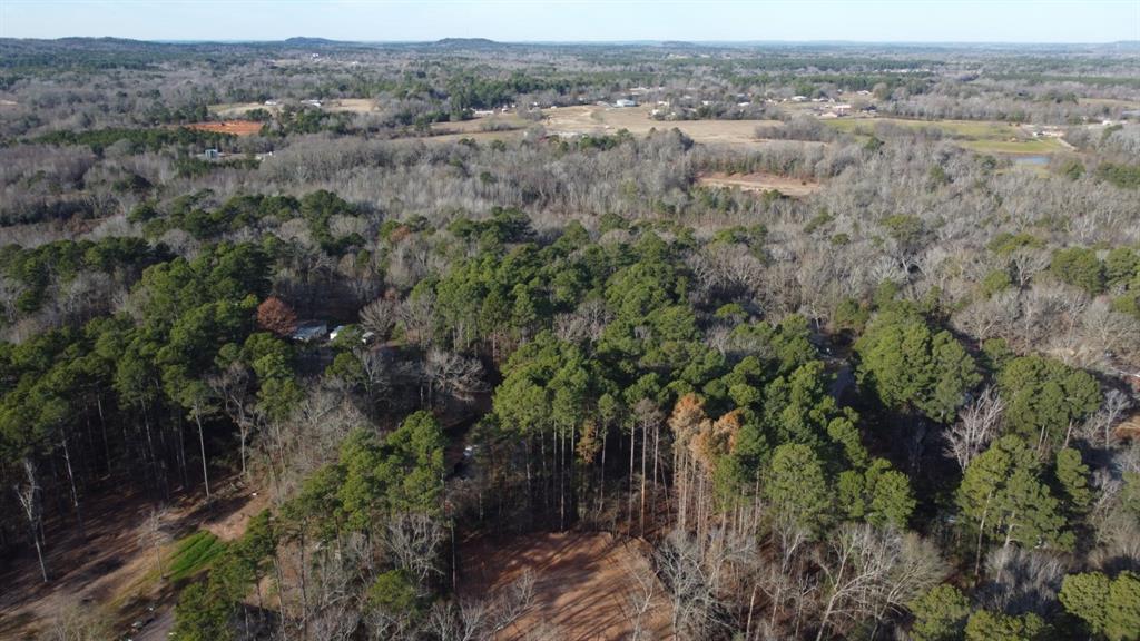 Quiet Oak, Gilmer, Texas image 5