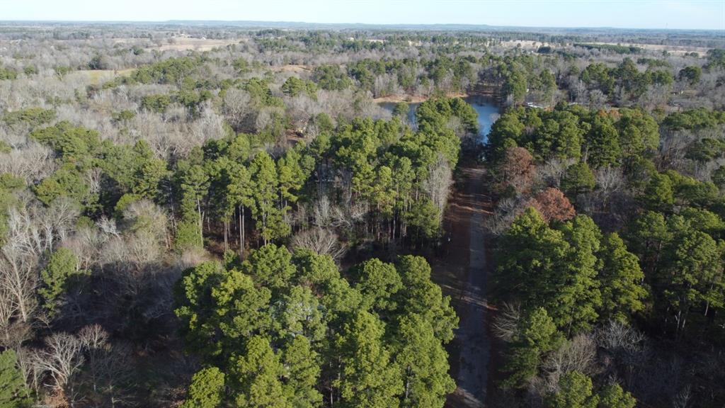 Quiet Oak, Gilmer, Texas image 30