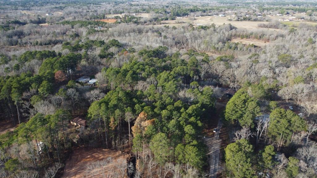 Quiet Oak, Gilmer, Texas image 8