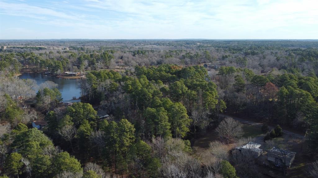 Quiet Oak, Gilmer, Texas image 34