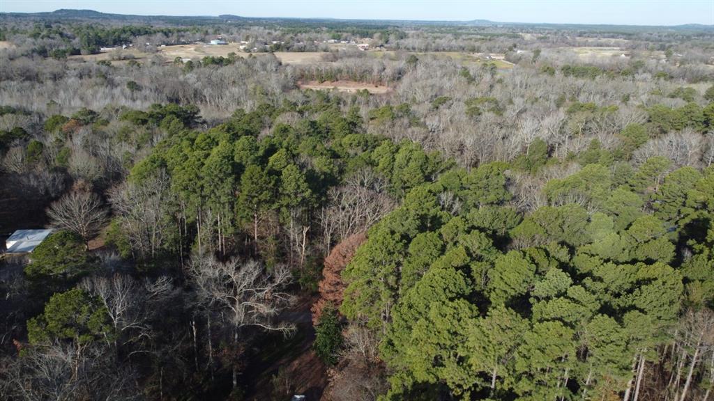 Quiet Oak, Gilmer, Texas image 47