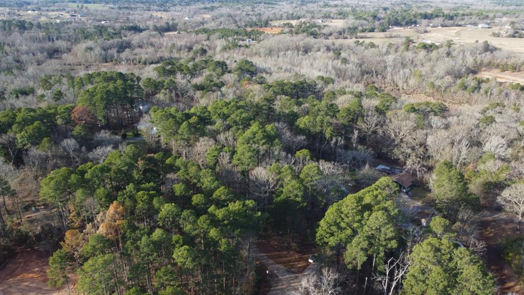 Quiet Oak, Gilmer, Texas image 9