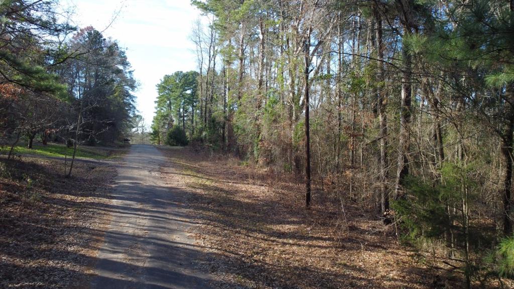 Quiet Oak, Gilmer, Texas image 44