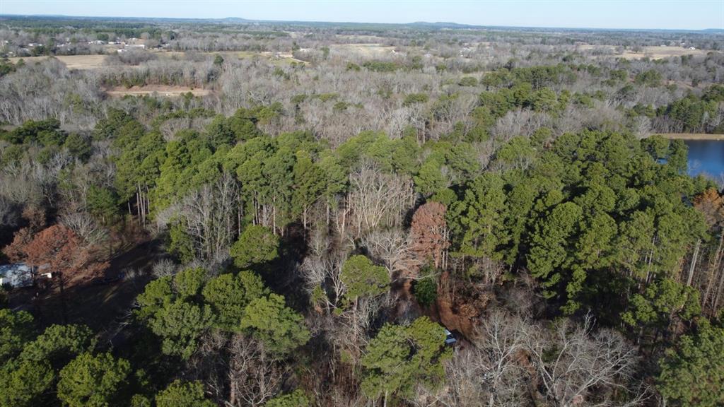 Quiet Oak, Gilmer, Texas image 19