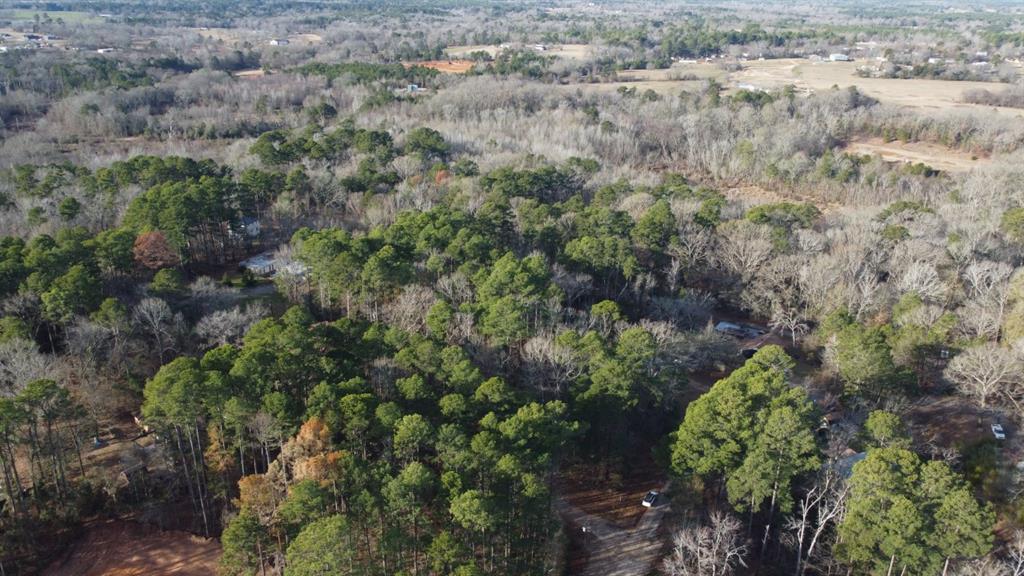 Quiet Oak, Gilmer, Texas image 21