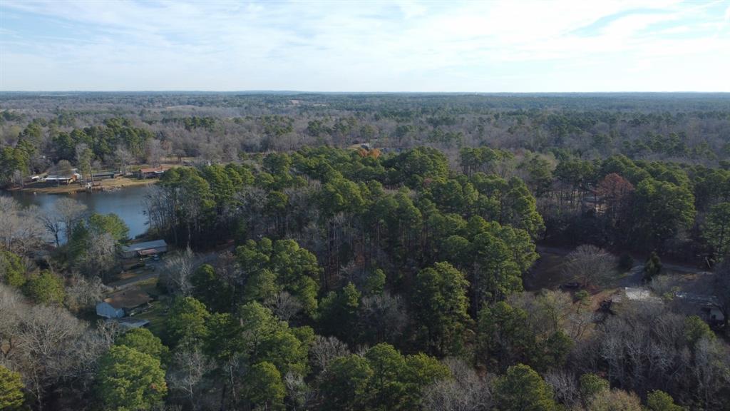 Quiet Oak, Gilmer, Texas image 26