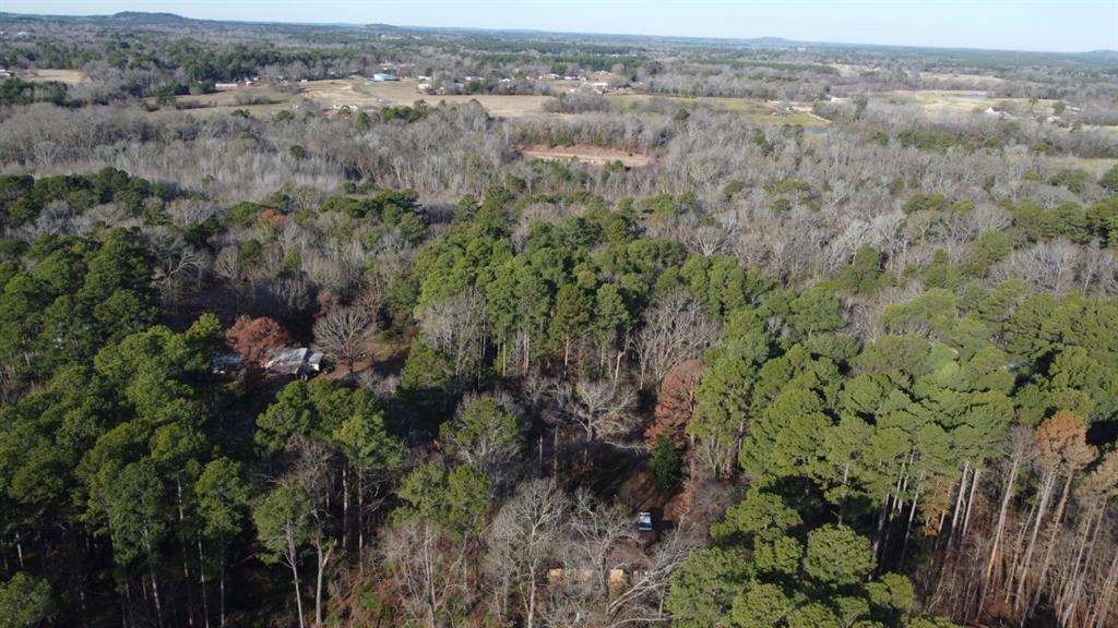 Quiet Oak, Gilmer, Texas image 11