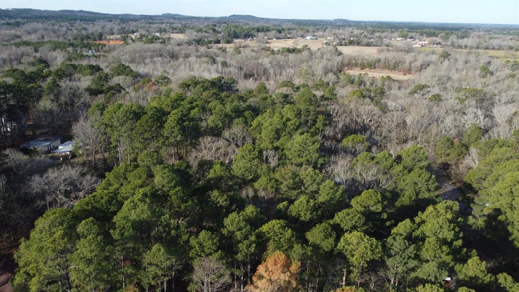 Quiet Oak, Gilmer, Texas image 42