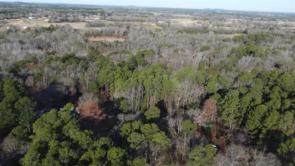 Quiet Oak, Gilmer, Texas image 43