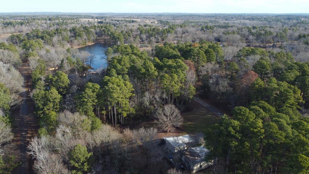 Quiet Oak, Gilmer, Texas image 35