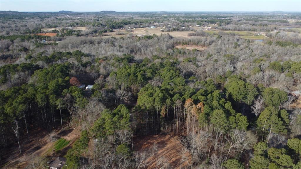 Quiet Oak, Gilmer, Texas image 17