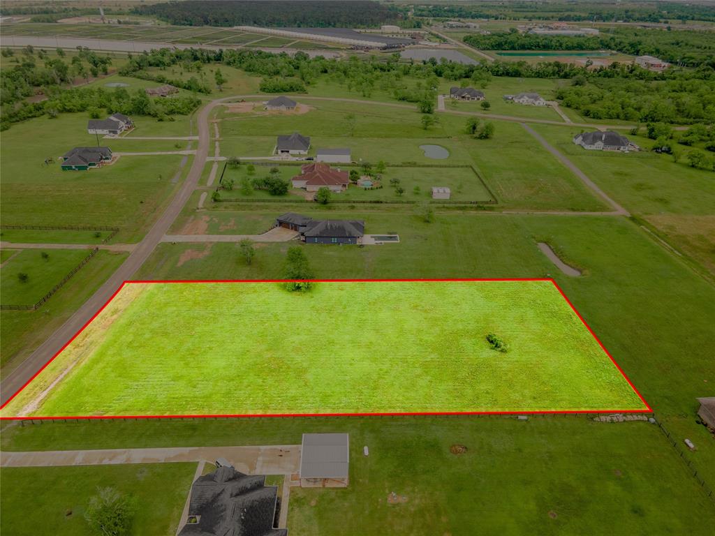 22110 Chenango Lake Drive, Angleton, Texas image 1