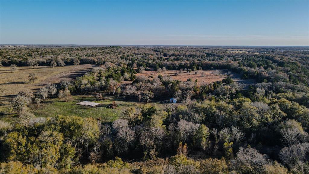 TBD County Road 324 - 23 Acres, Caldwell, Texas image 6