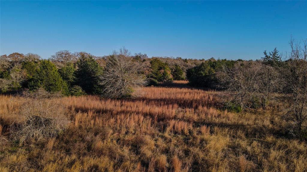 TBD County Road 324 - 23 Acres, Caldwell, Texas image 5