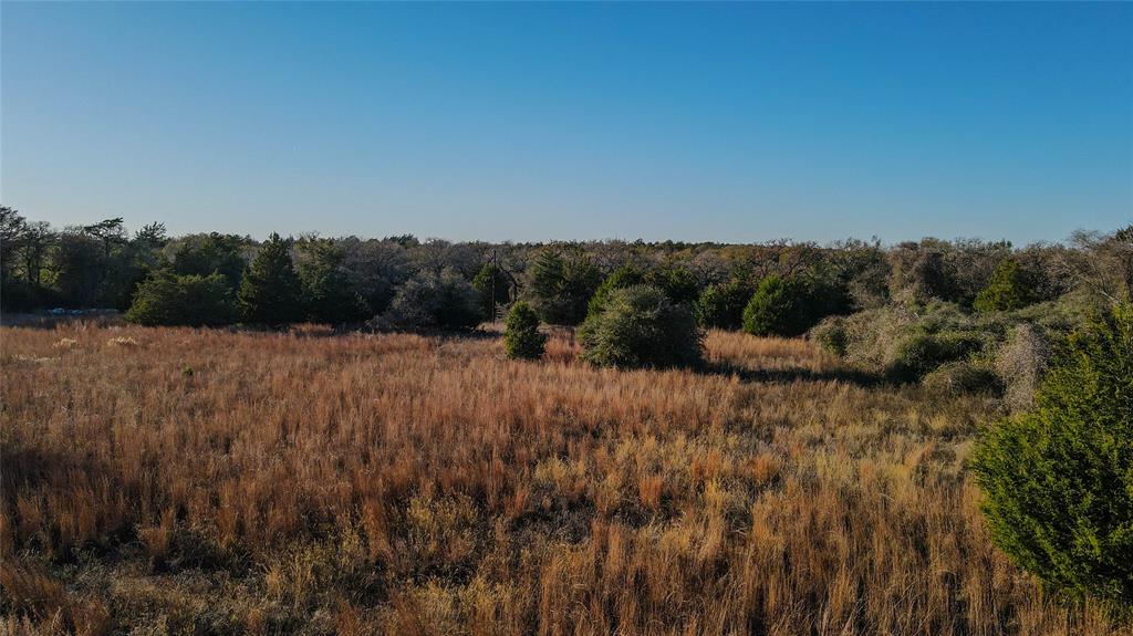 TBD County Road 324 - 23 Acres, Caldwell, Texas image 4