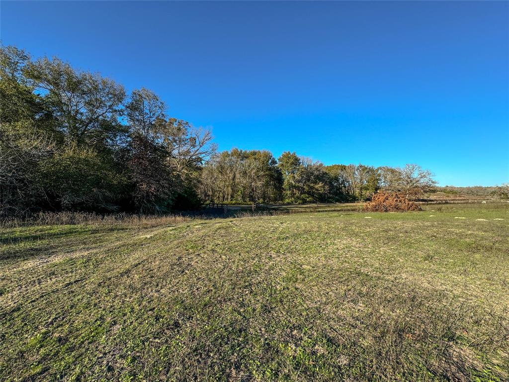 TBD County Road 324 - 23 Acres, Caldwell, Texas image 3