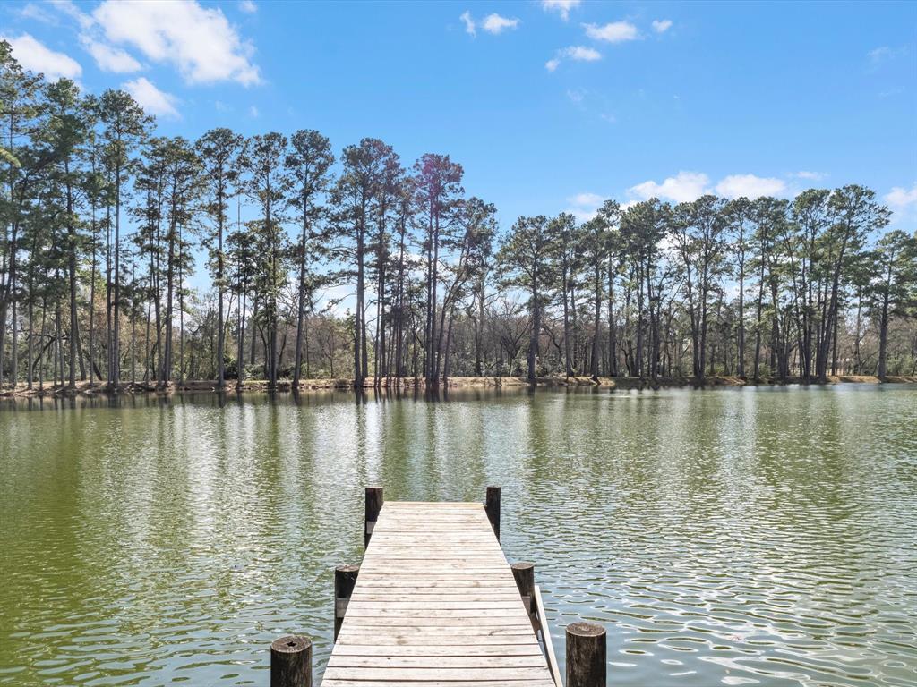 19701 W Lakeshore Drive, Magnolia, Texas image 10