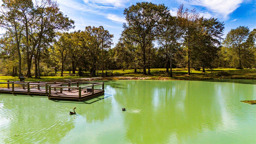 500 State Highway 156, Point Blank, Texas image 37