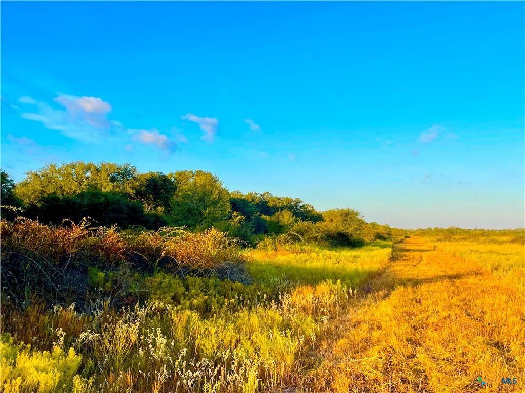 TBD Fm-530, Hallettsville, Texas image 16